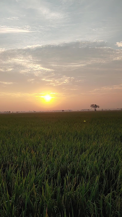 Tampak lingkungan Perumahan Taman Kebayoran