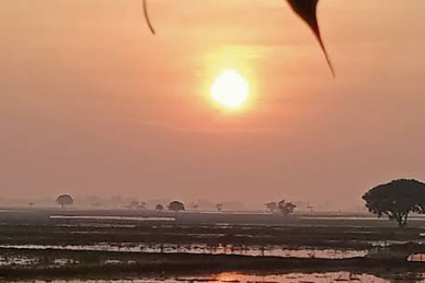 Tampak lingkungan Perumahan Taman Kebayoran