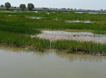 Komplek Perumahan Taman Kebayoran